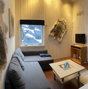 sofa 4 airbnb